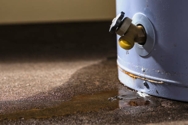 Best Carpet water damage restoration  in Gothenburg, NE