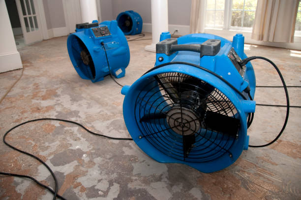 Best Sewage cleanup and water damage restoration  in Gothenburg, NE