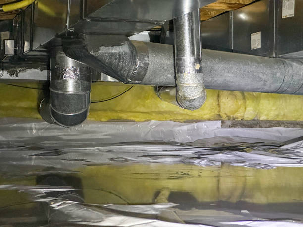 Best Flood damage cleanup  in Gothenburg, NE